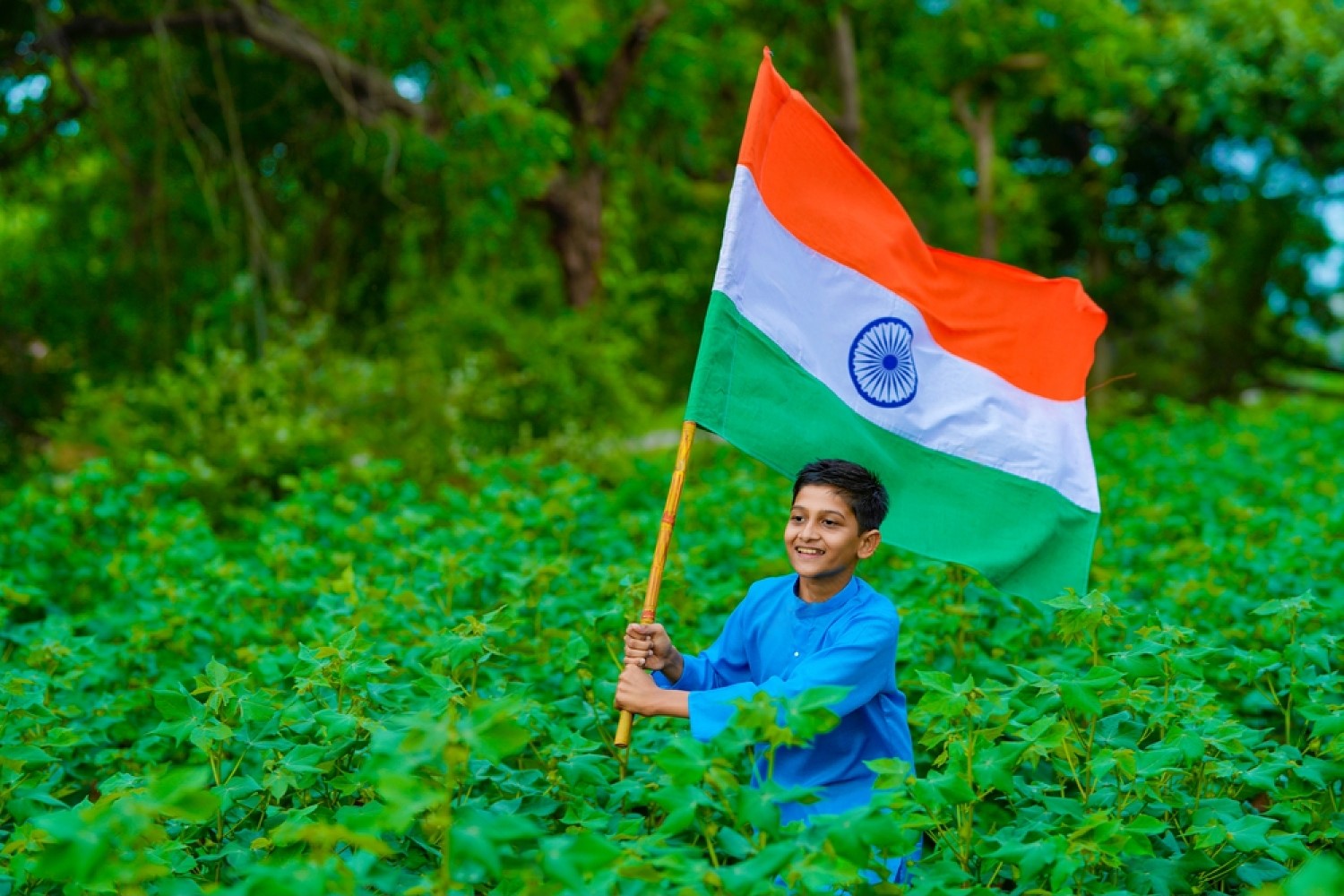 Independence Day, India